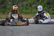 IMG (334)